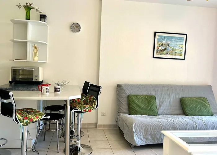 Climatisé 2 Pièces Avec Terrasse Et Parking Au Lavandou - Fr-1-251-854 *