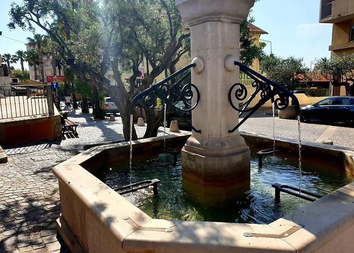 Climatisé 2 Pièces Avec Terrasse Et Parking Au Lavandou - Fr-1-251-854 Appartement