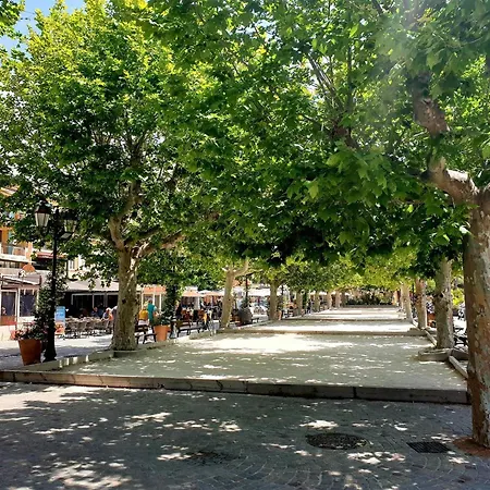 Climatise 2 Pieces Avec Terrasse Et Parking Au Lavandou