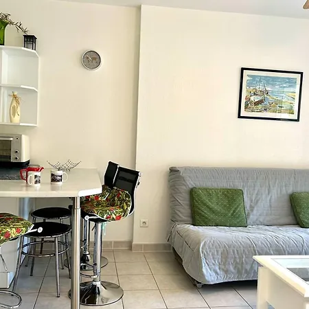 Climatise 2 Pieces Avec Terrasse Et Parking Au Lavandou *