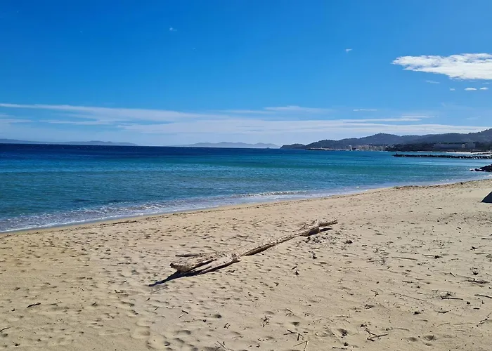 Climatise 2 Pieces Avec Terrasse Et Parking Au Lavandou - Fr-1-251-854 Le Lavandou