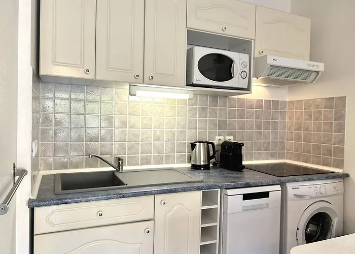 Climatise 2 Pieces Avec Terrasse Et Parking Au Lavandou - Fr-1-251-854 Apartament Le Lavandou