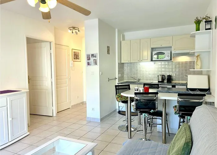 Apartament Climatise 2 Pieces Avec Terrasse Et Parking Au Lavandou - Fr-1-251-854 Le Lavandou