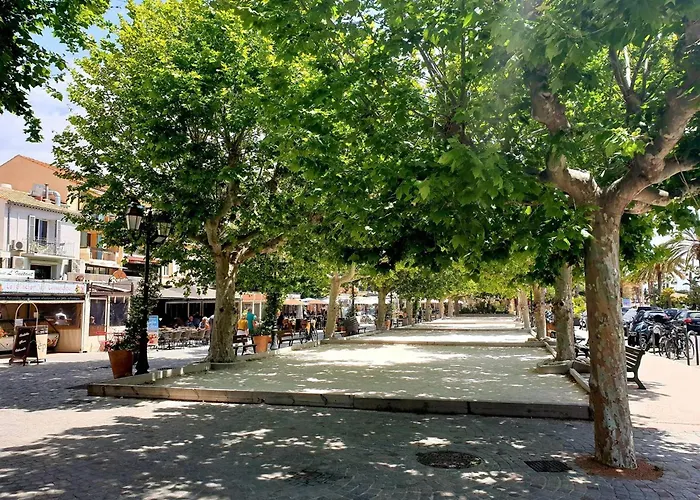 Climatise 2 Pieces Avec Terrasse Et Parking Au Lavandou - Fr-1-251-854